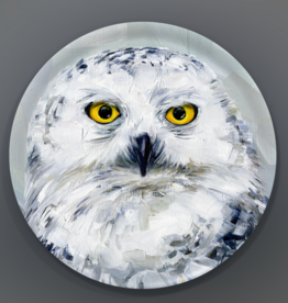 Trays 4 Us Snow Owl Tray