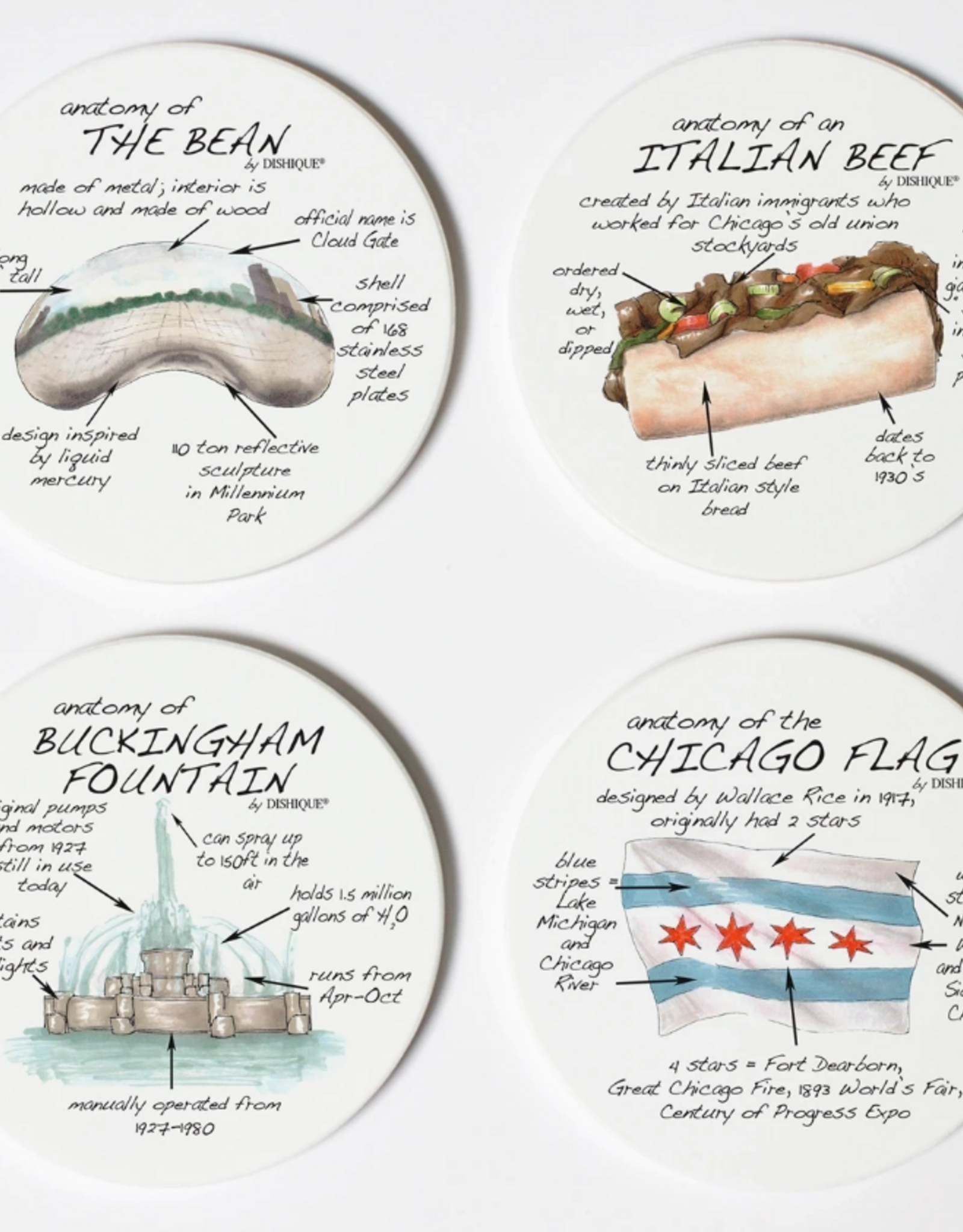 Dishique Chicago Anatomy Coasters