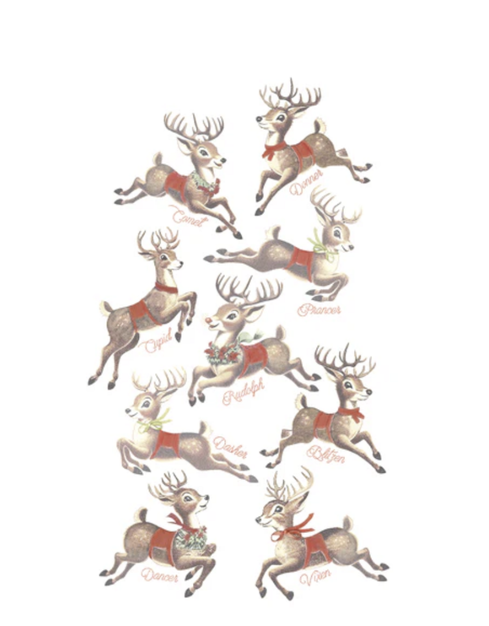 Mary Lake Thompson Wash & Dry Santa