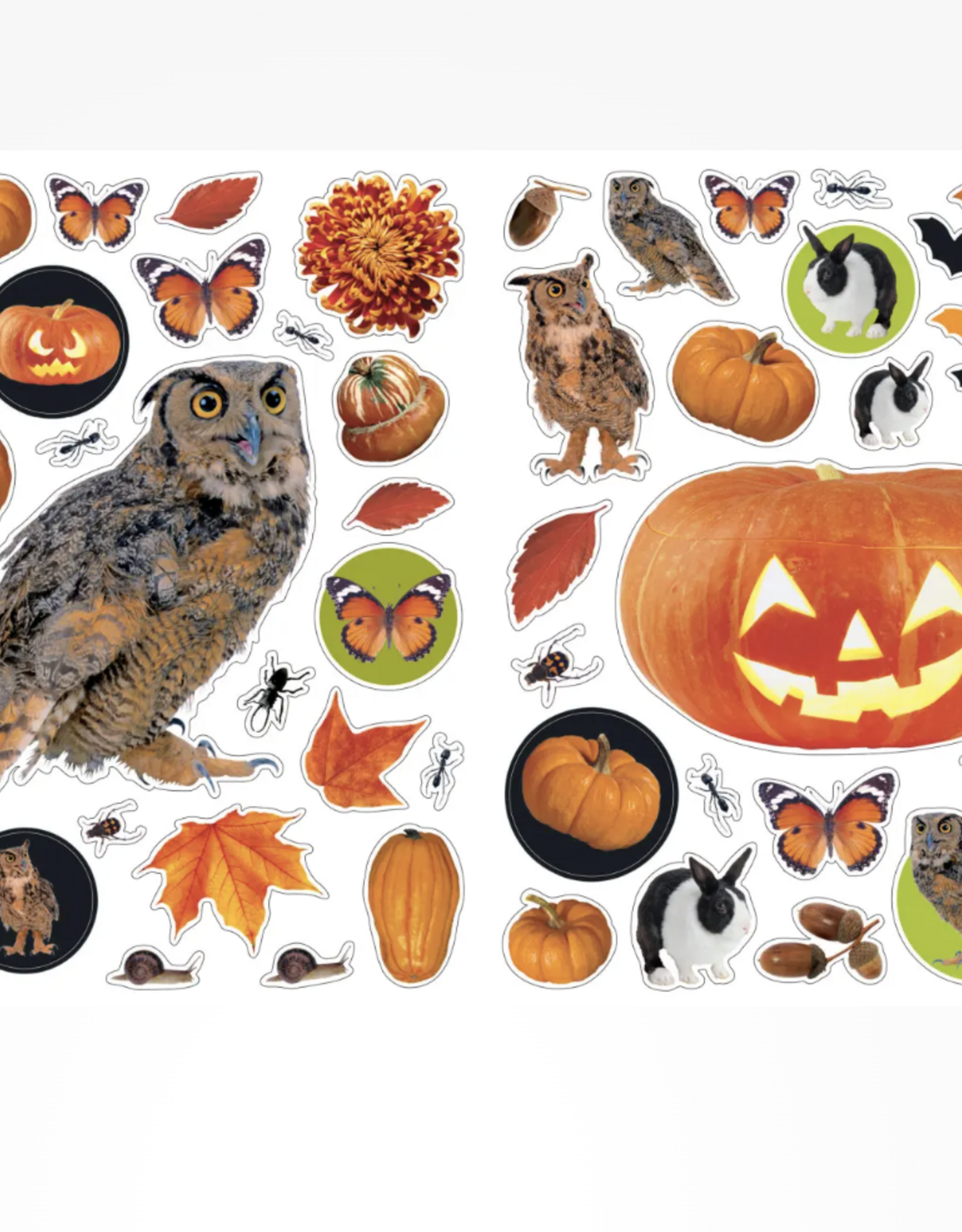 Eyelike Stickers: Halloween
