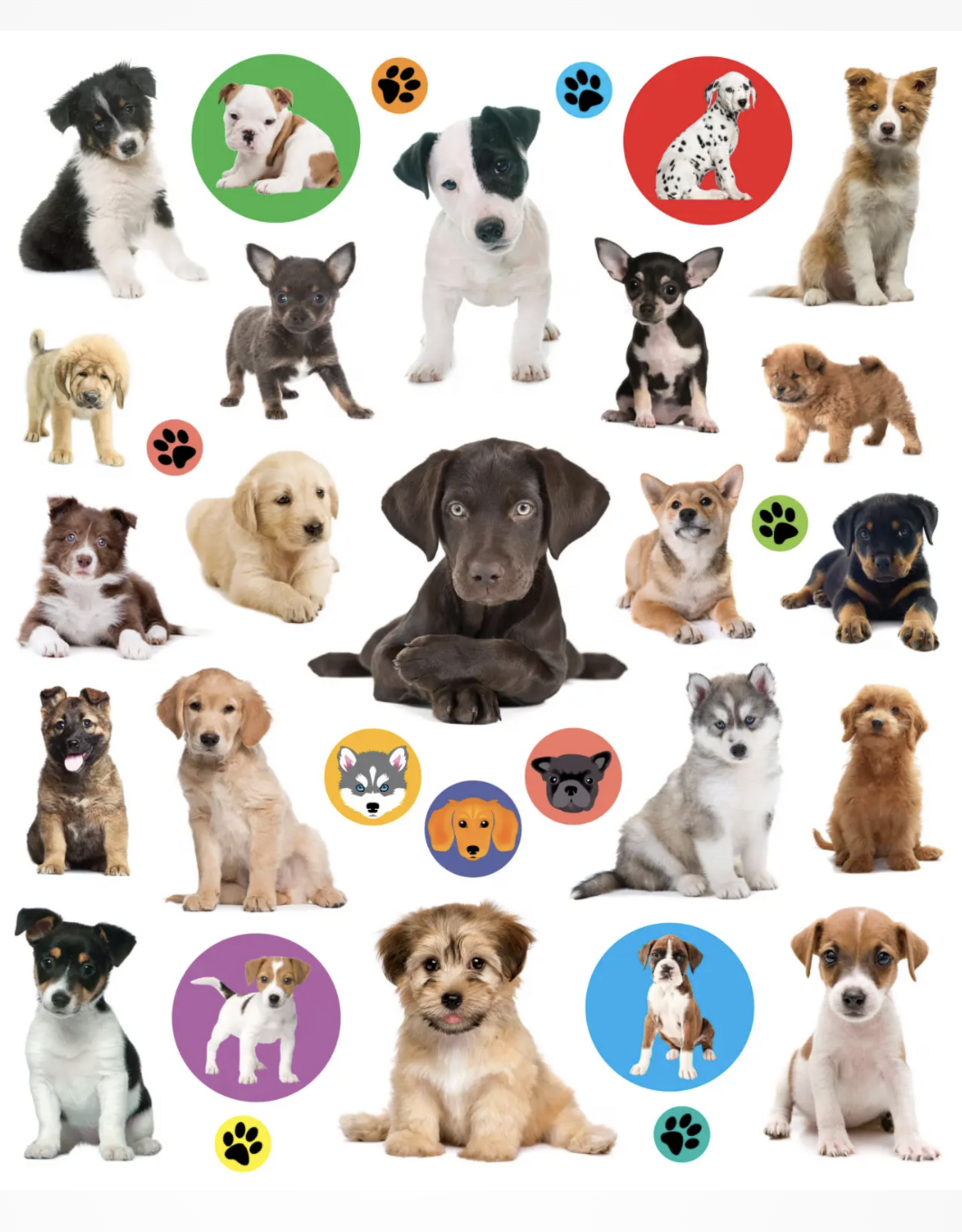 Eyelike Stickers Puppies