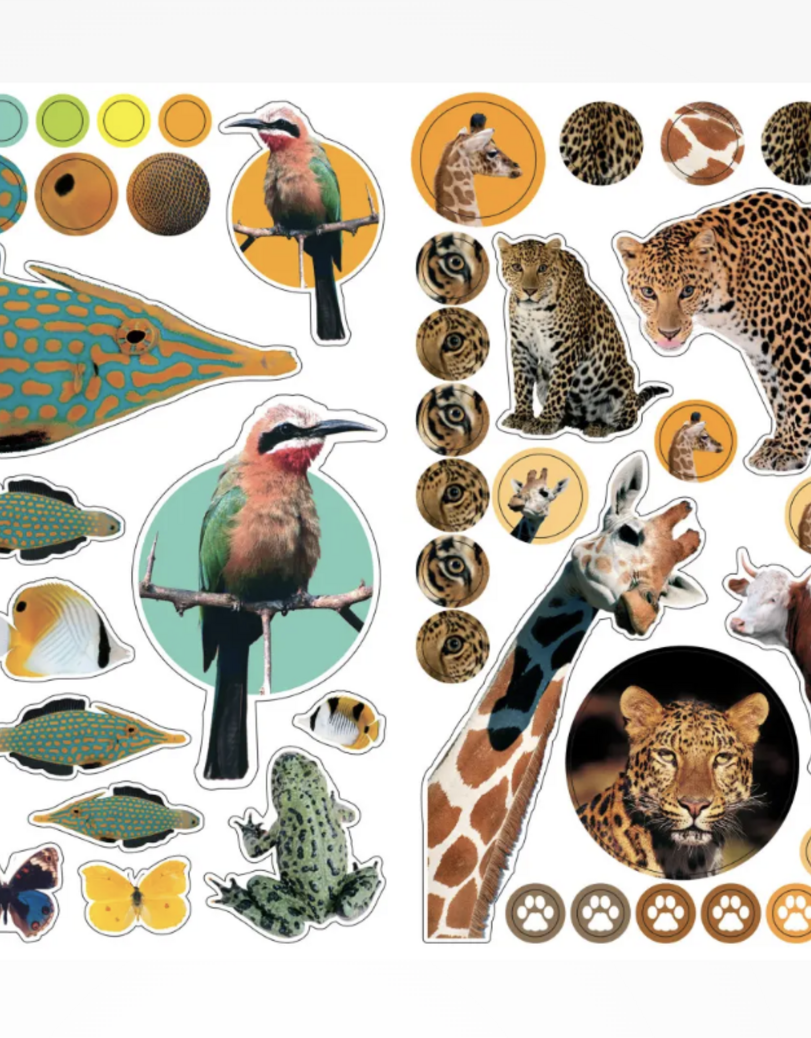 Eyelike Stickers Animal