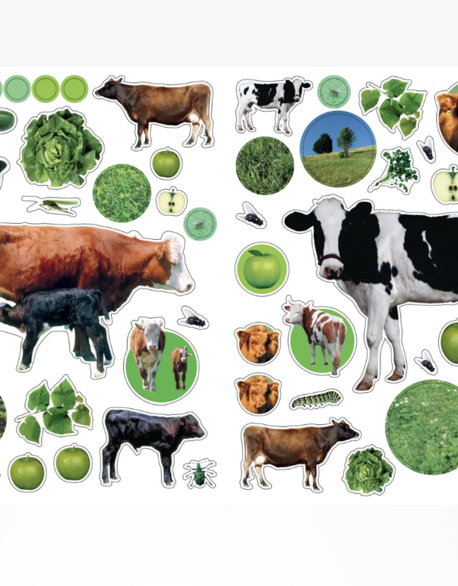 Eyelike Stickers: On the Farm