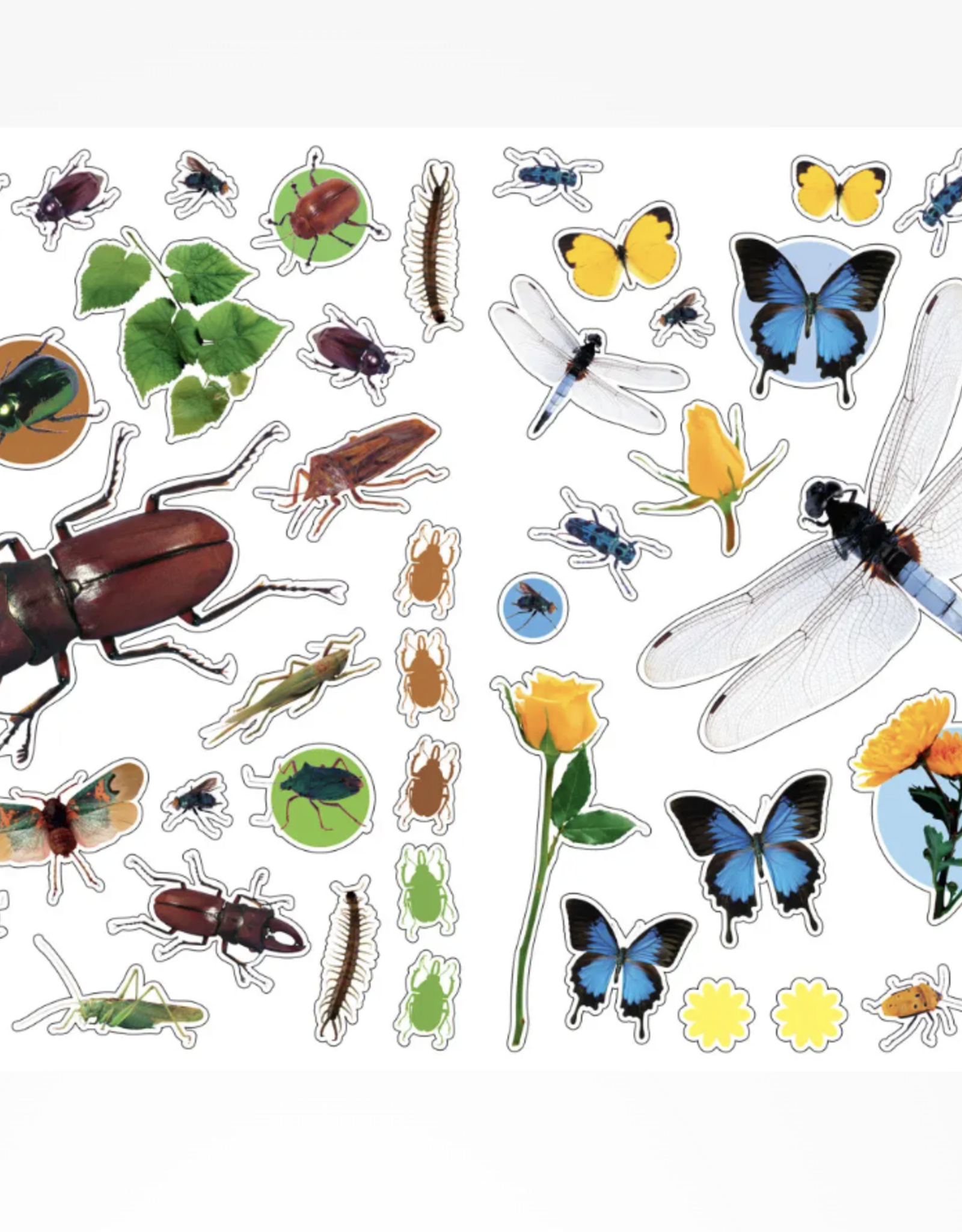 Eyelike Stickers: Bugs