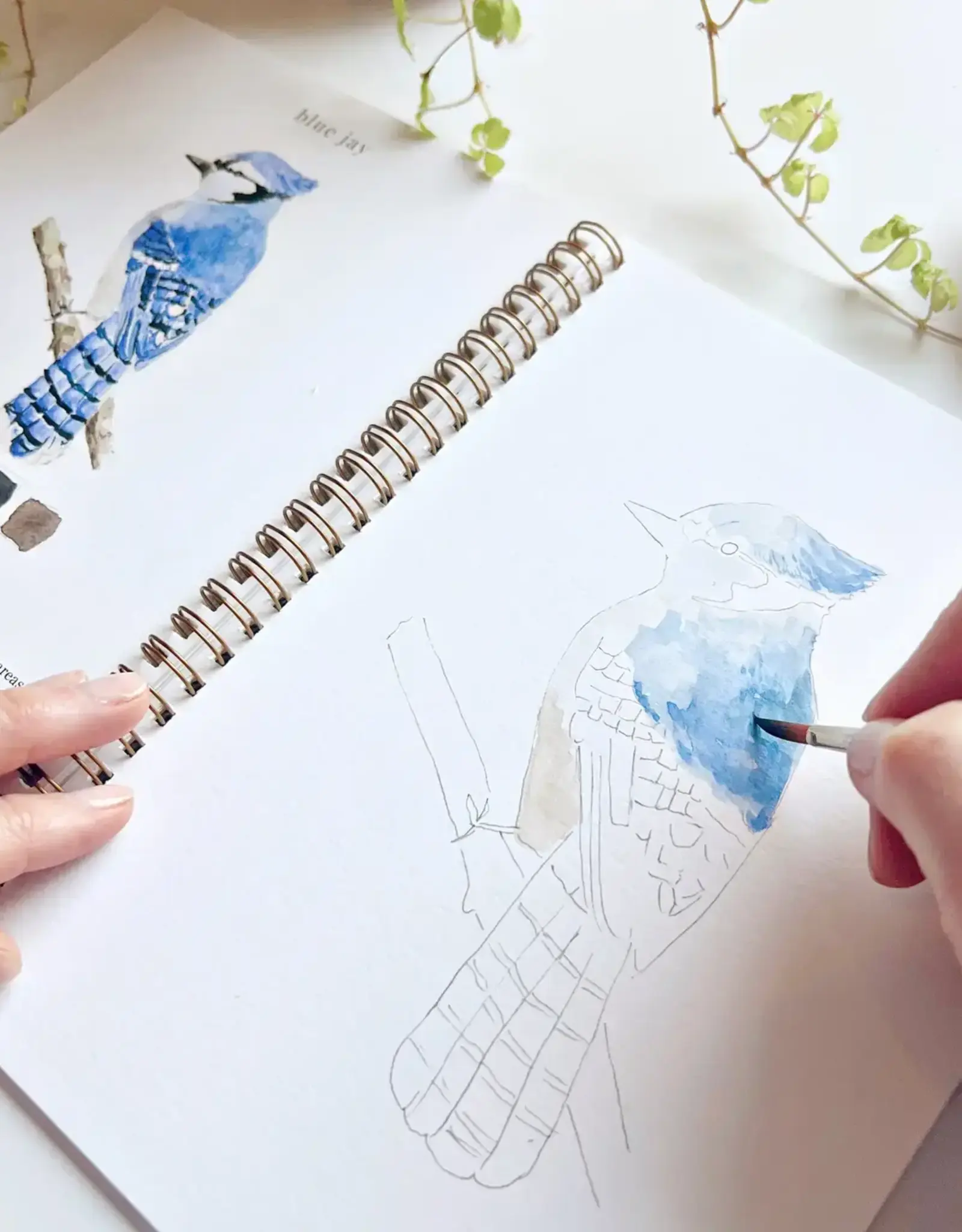 Emily Lax Studio Birds Watercolor Notebook