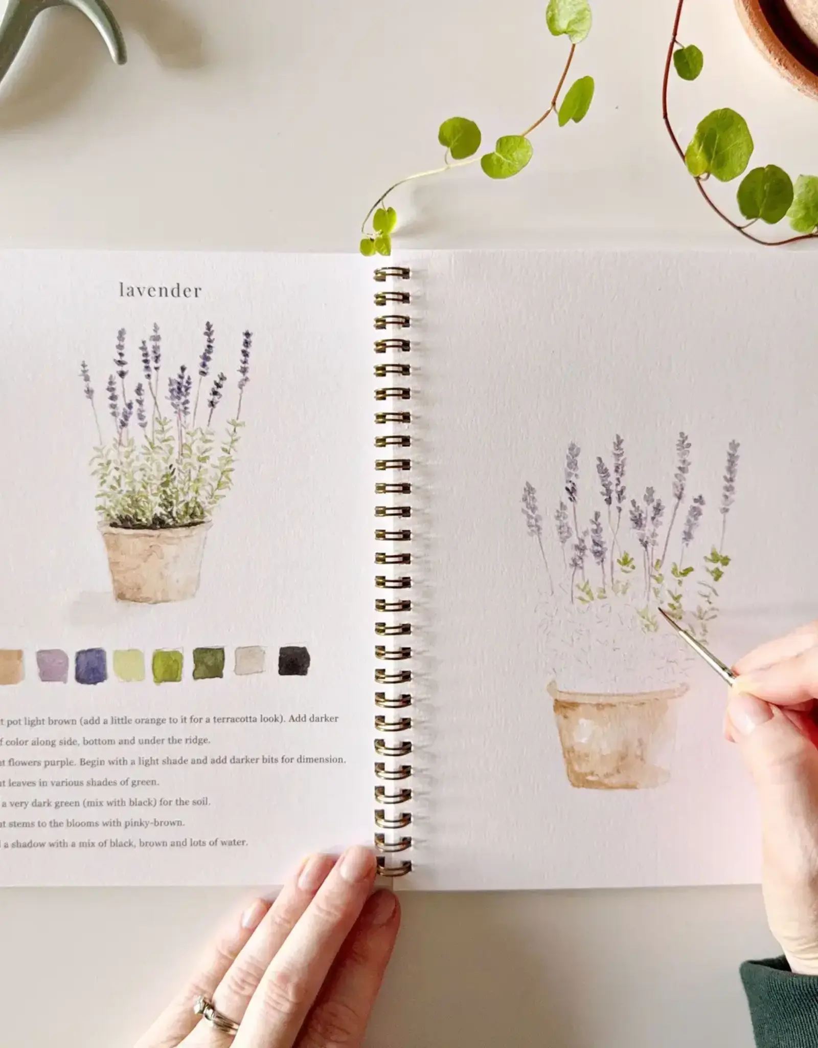 Emily Lax Studio Garden Watercolor Notebook