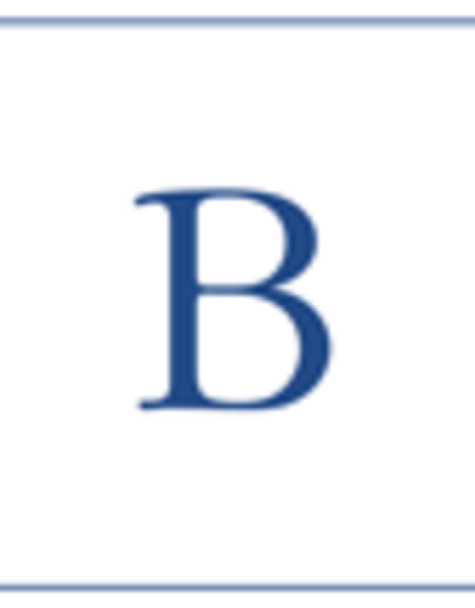 Caspari B--Navy Embossed Note Cards/8