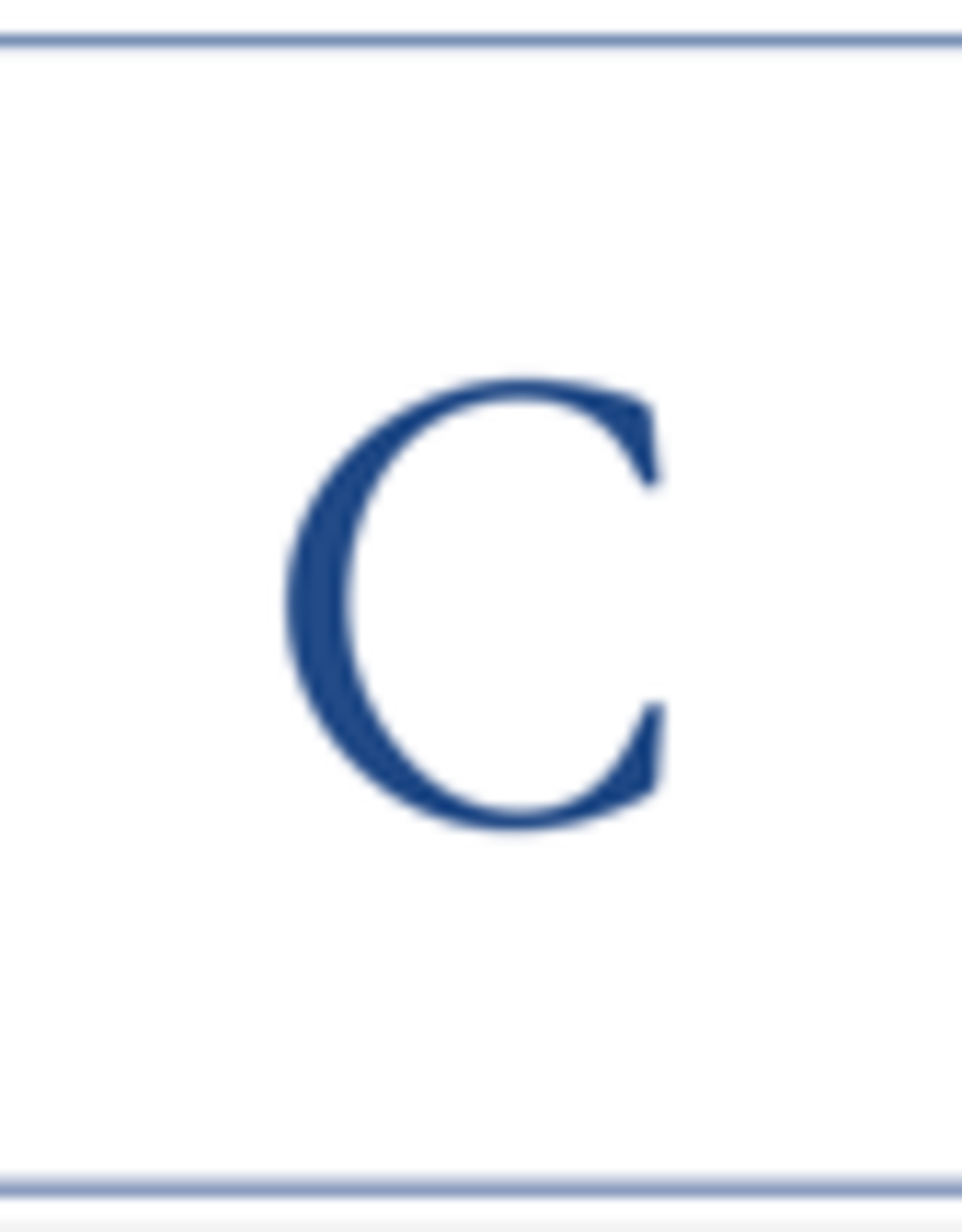 Caspari C--Navy Embossed Note Cards/8