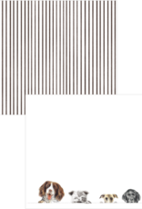 Caspari Doggy Paddle Correspondence Cards