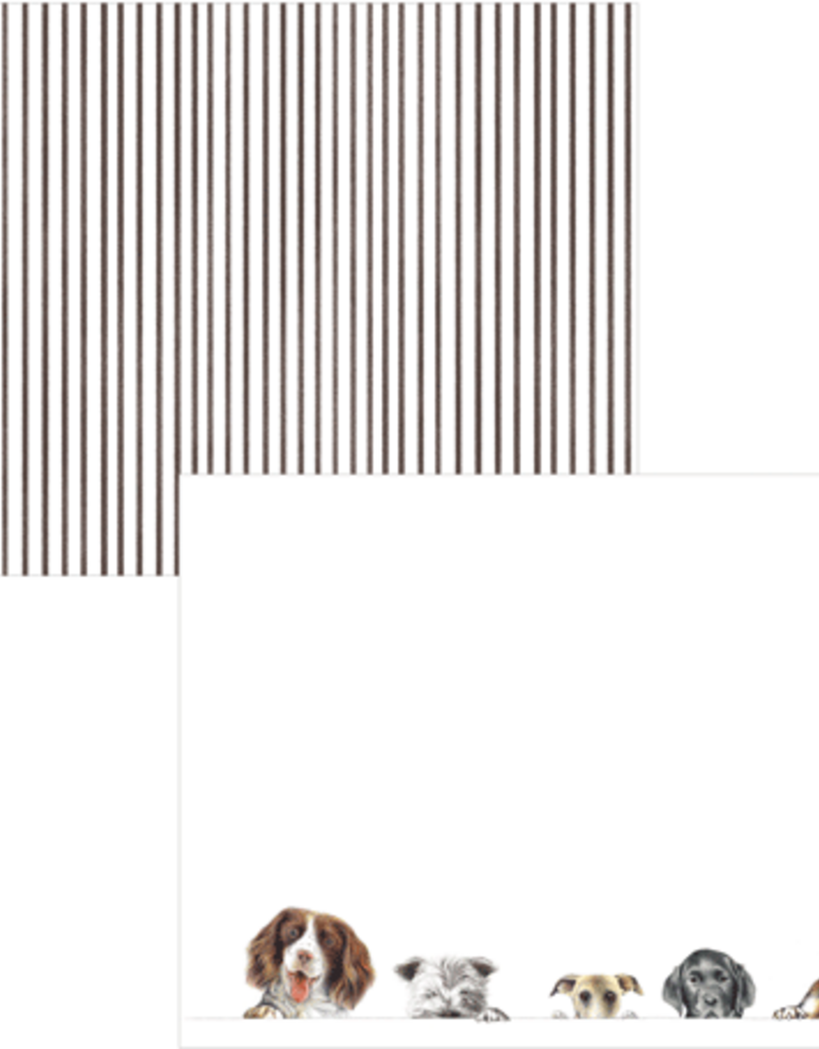 Caspari Doggy Paddle Correspondence Cards