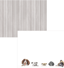 Caspari Doggy Paddle Correspondence Cards