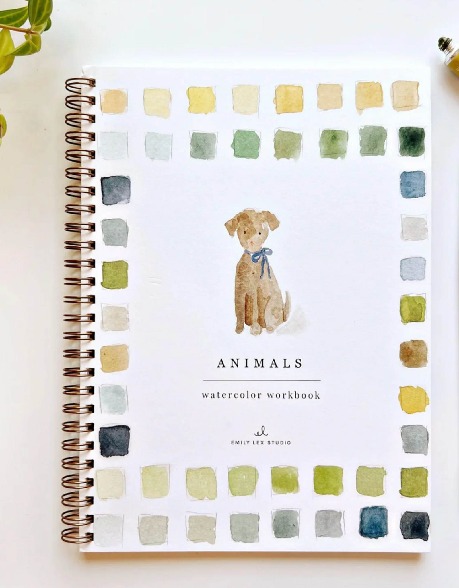 Emily Lex Studio Animals Watercolor Workbook