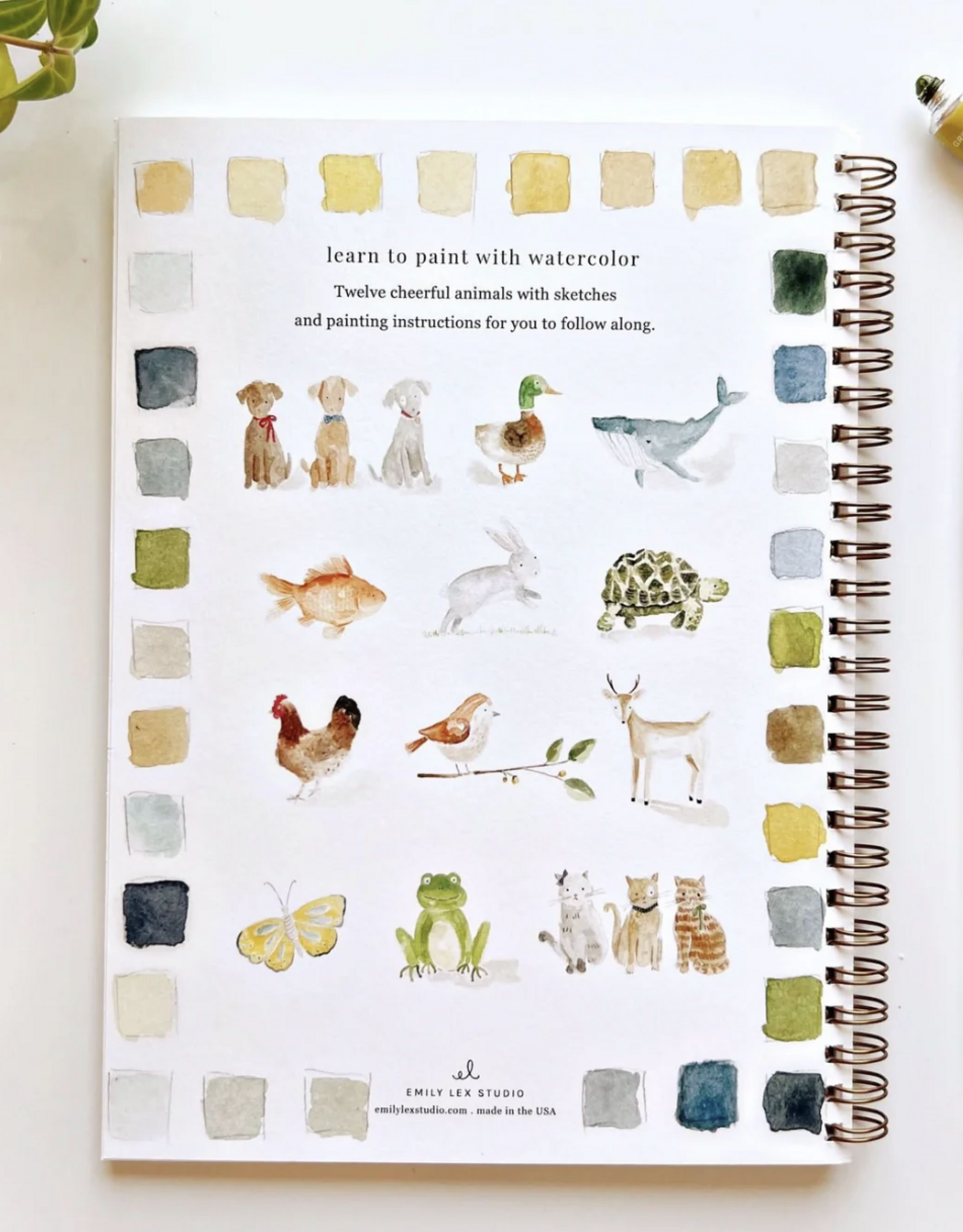 Emily Lex Studio Animals Watercolor Workbook