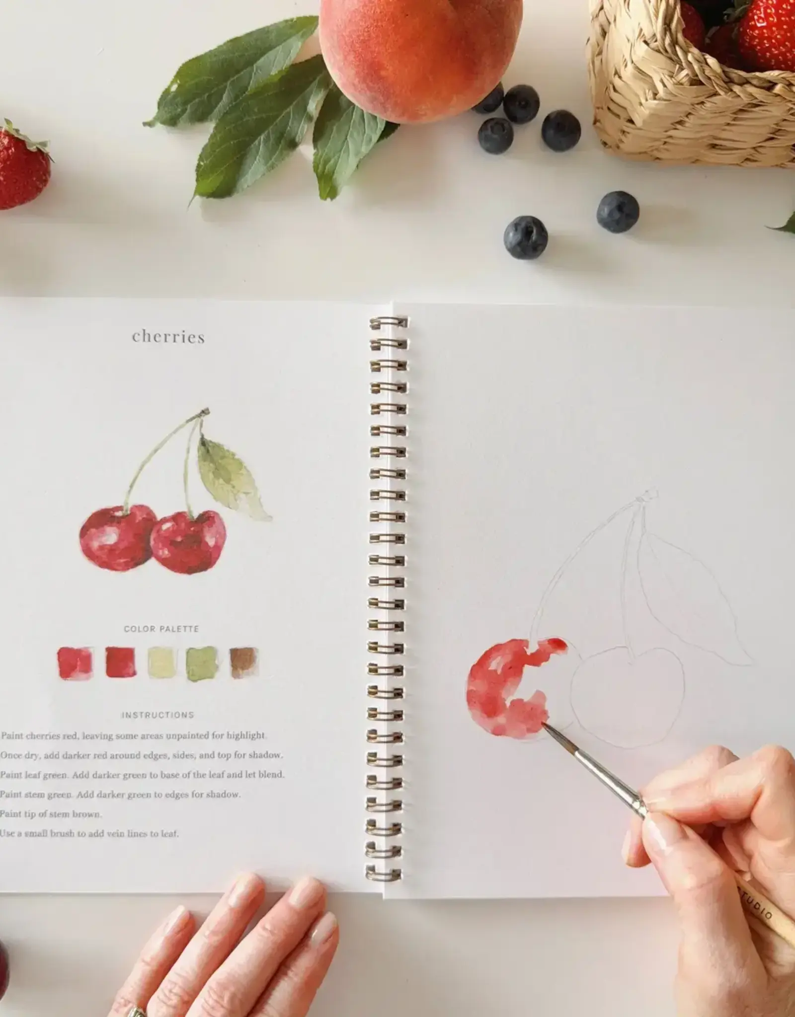 Emily Lax Studio Fruit Watercolor Workbook