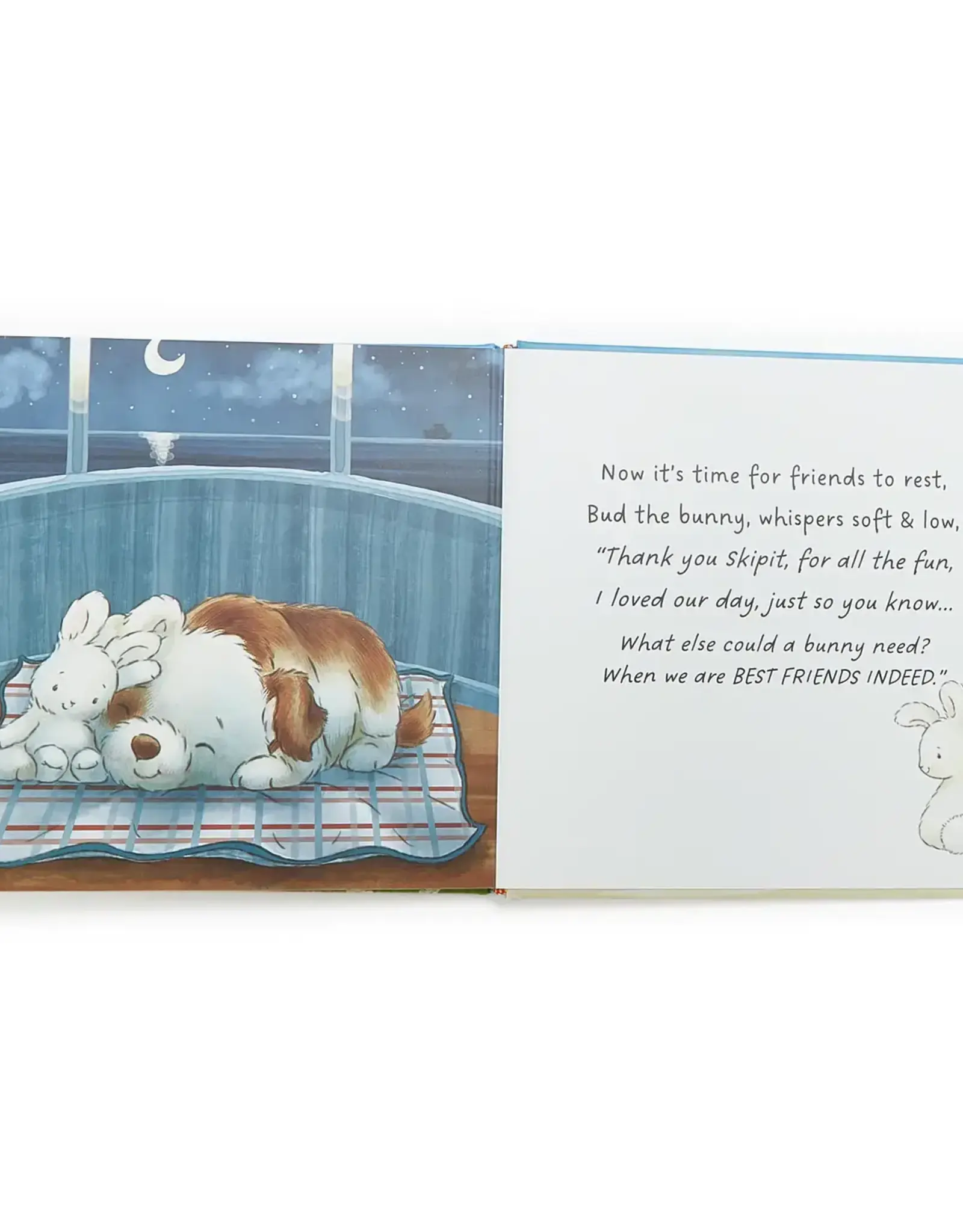 Bunnies by the Bay Best Friends Indeed Book
