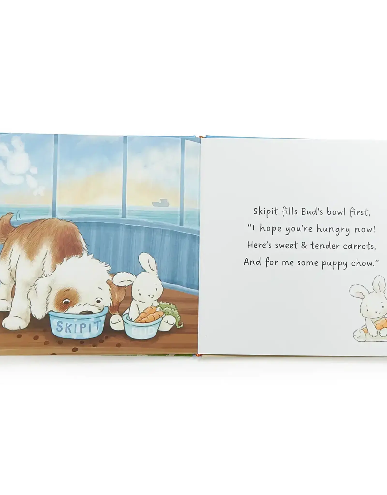 Bunnies by the Bay Best Friends Indeed Book