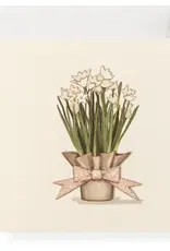 Karen Adams Designs Enclosure Paperwhites