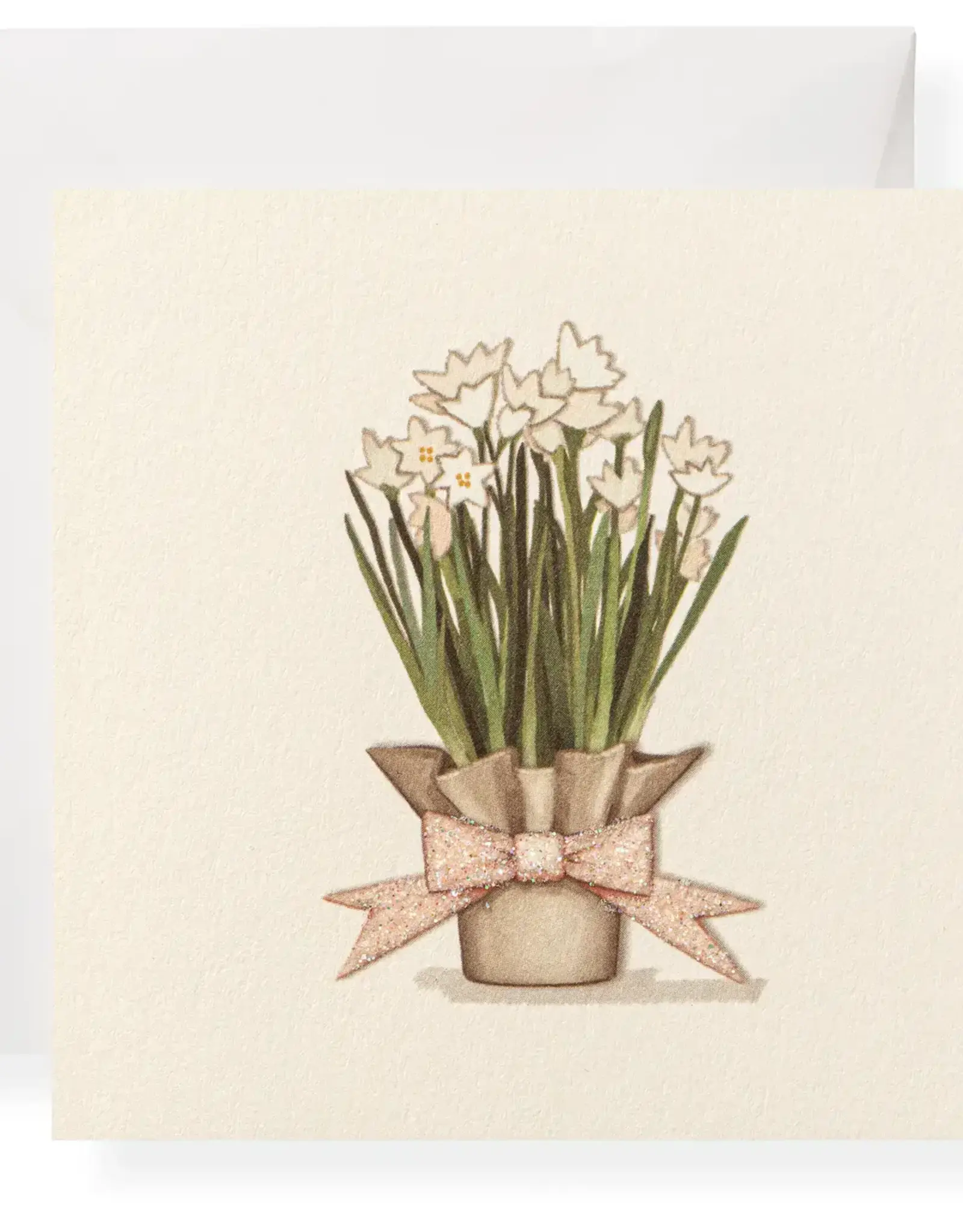 Karen Adams Designs Enclosure Paperwhites