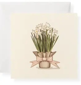 Karen Adams Designs Enclosure Paperwhites