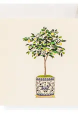 Karen Adams Designs Enclosure Lemon Tree