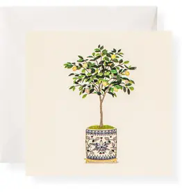 Karen Adams Designs Enclosure Lemon Tree