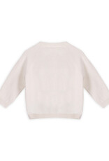 Viverano Organics Dino Jacquard Baby Knit Pullover (Organic Cotton)