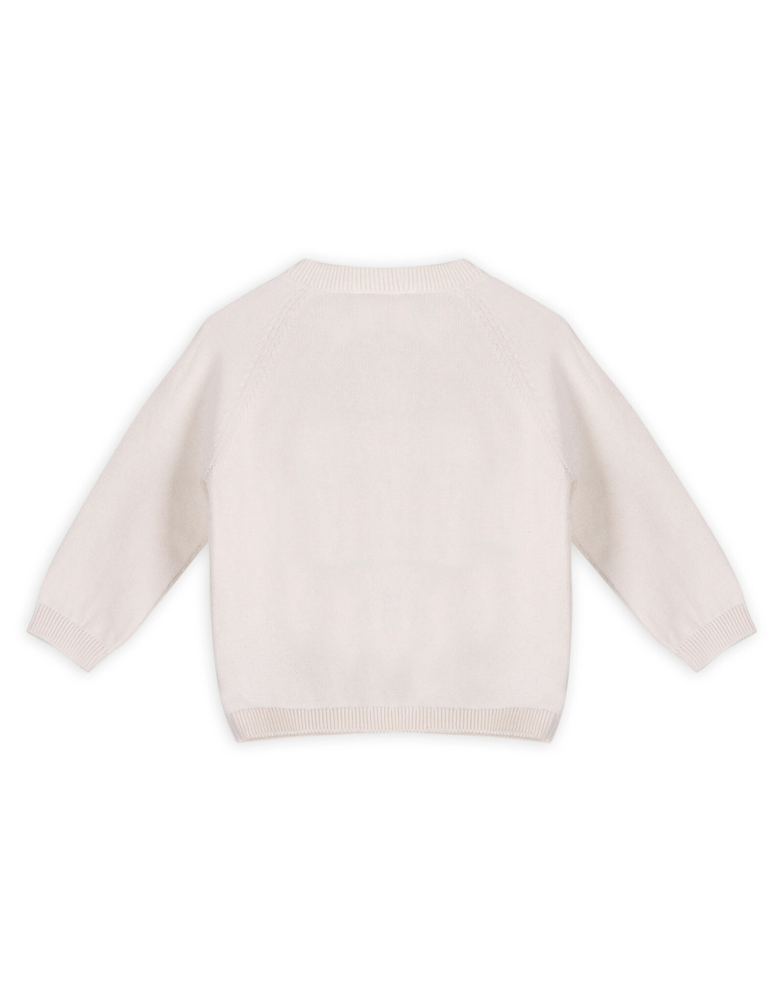 Viverano Organics Dino Jacquard Baby Knit Pullover (Organic Cotton)