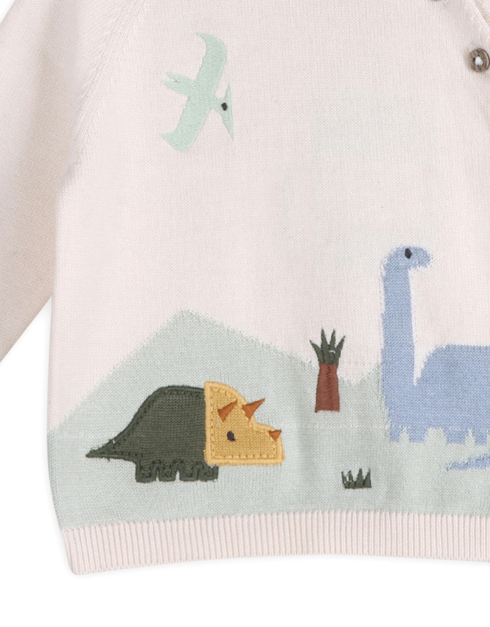Viverano Organics Dino Jacquard Baby Knit Pullover (Organic Cotton)