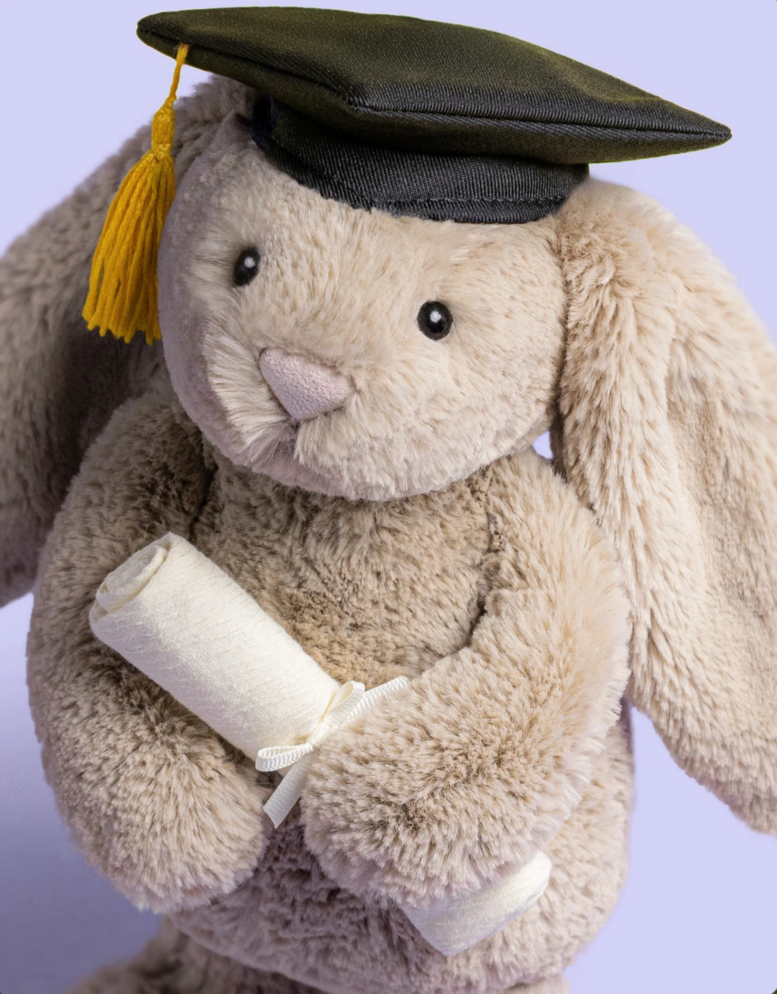 Jelly Cat Bashful Bunny Graduation Outfit