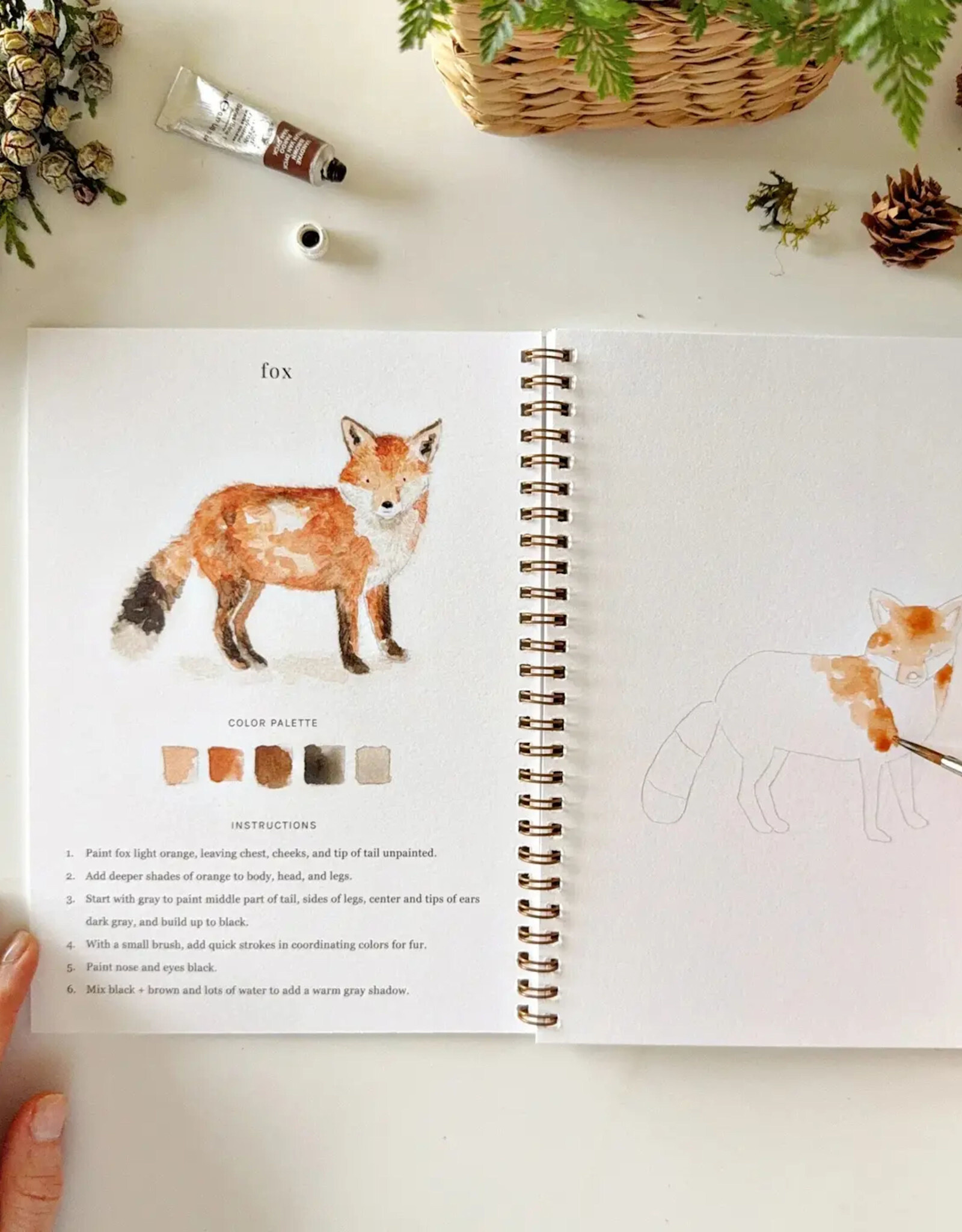 Emily Lex Studio Woodland Watercolor Workbook