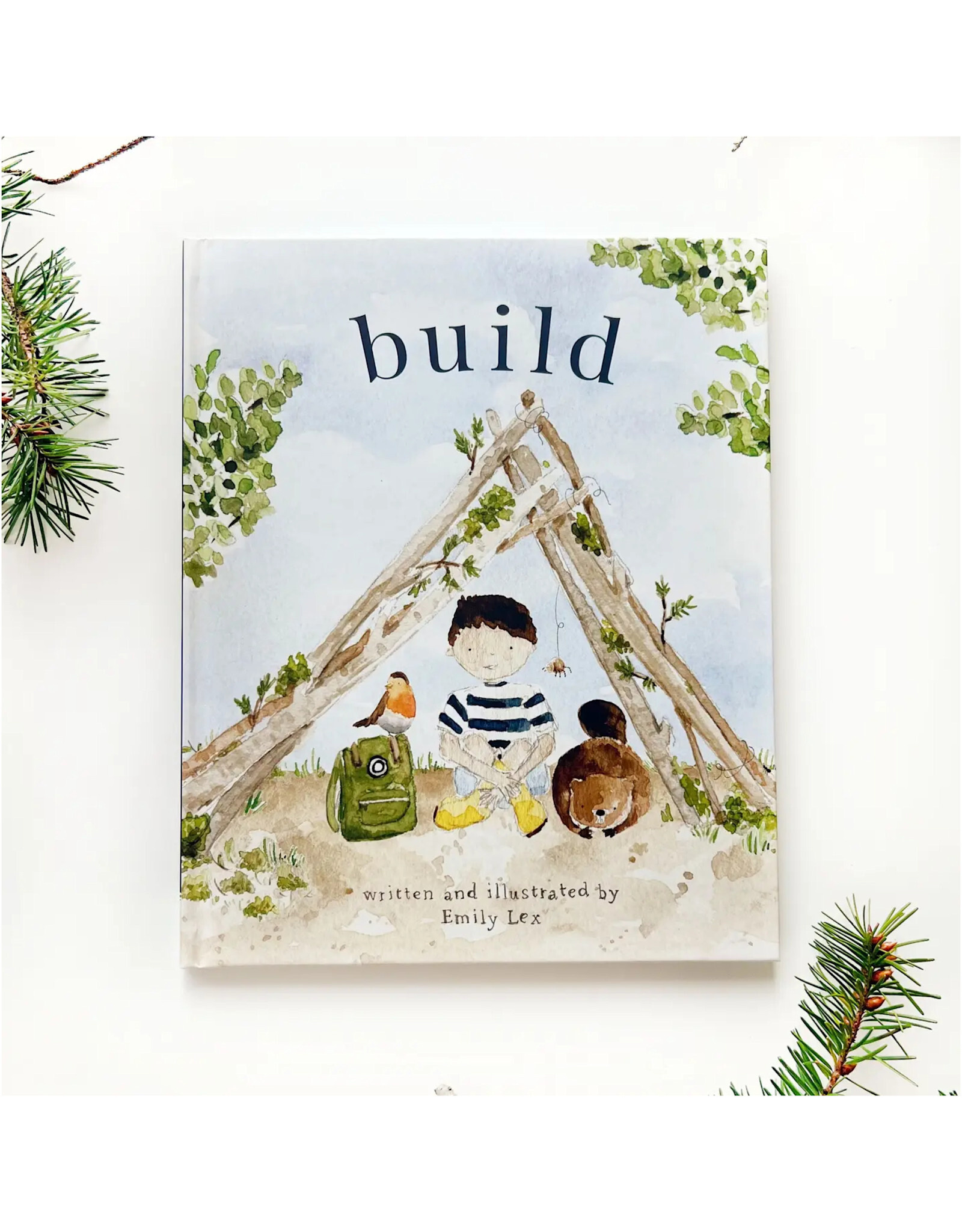 Emily Lex Studio Build Book