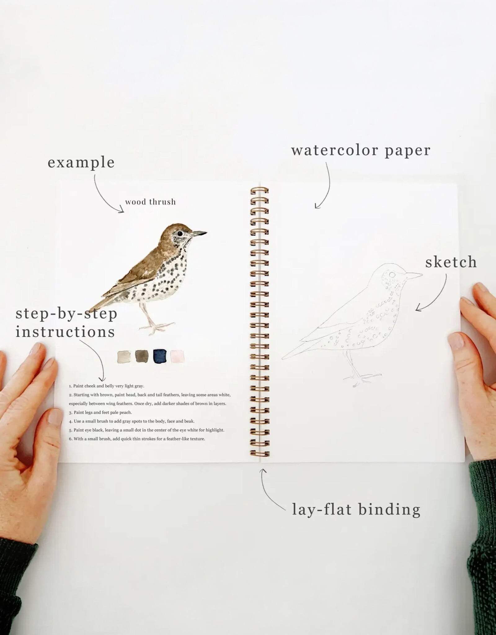 Emily Lax Studio Birds Watercolor Workbook