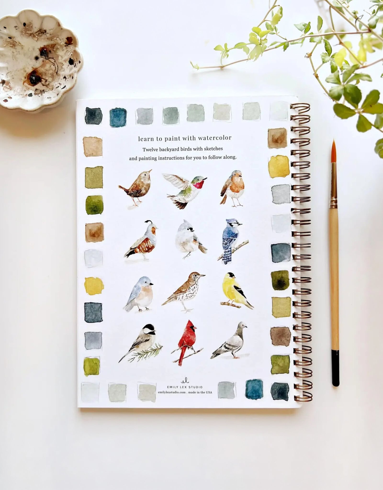 Emily Lax Studio Birds Watercolor Workbook