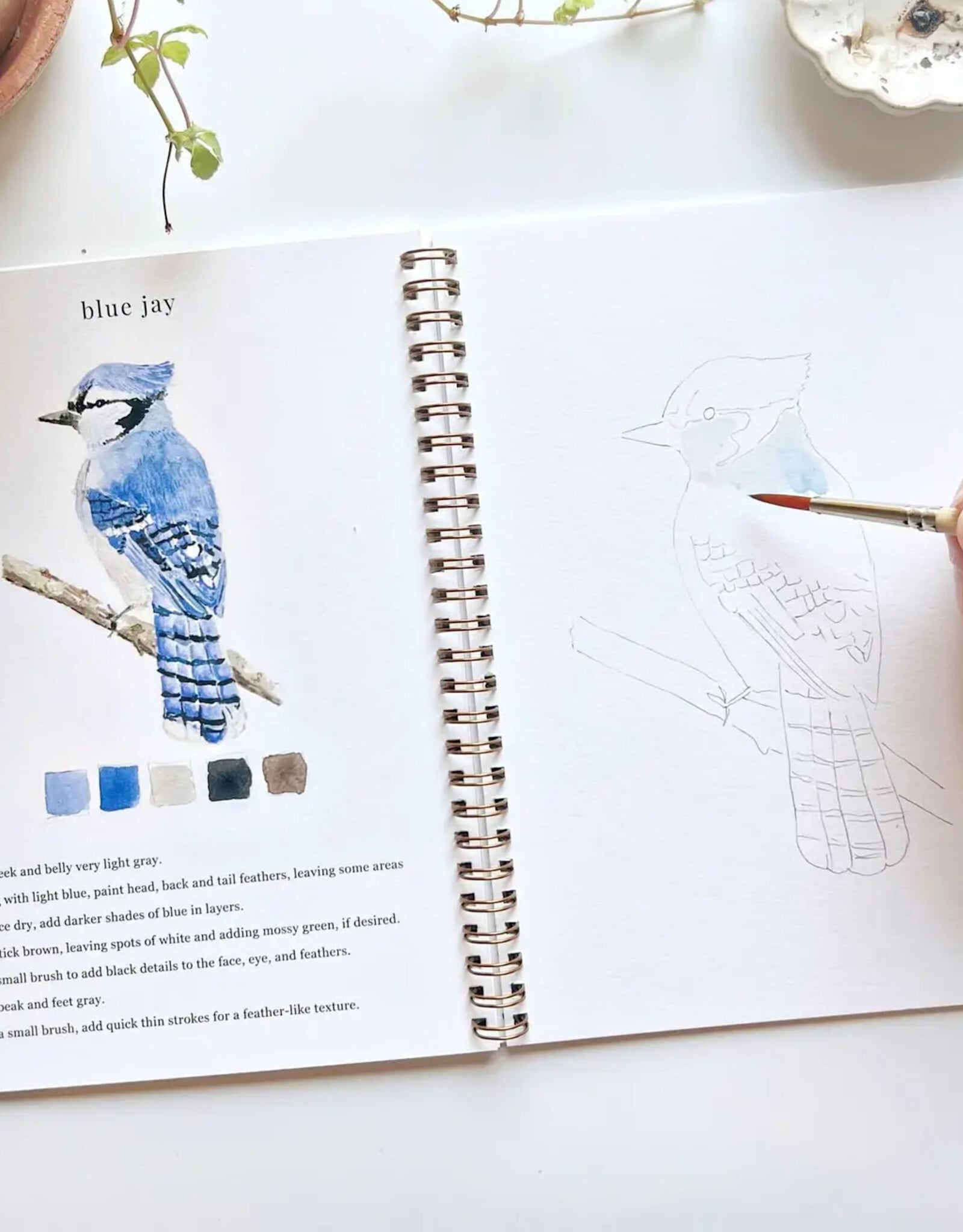 Emily Lax Studio Birds Watercolor Workbook