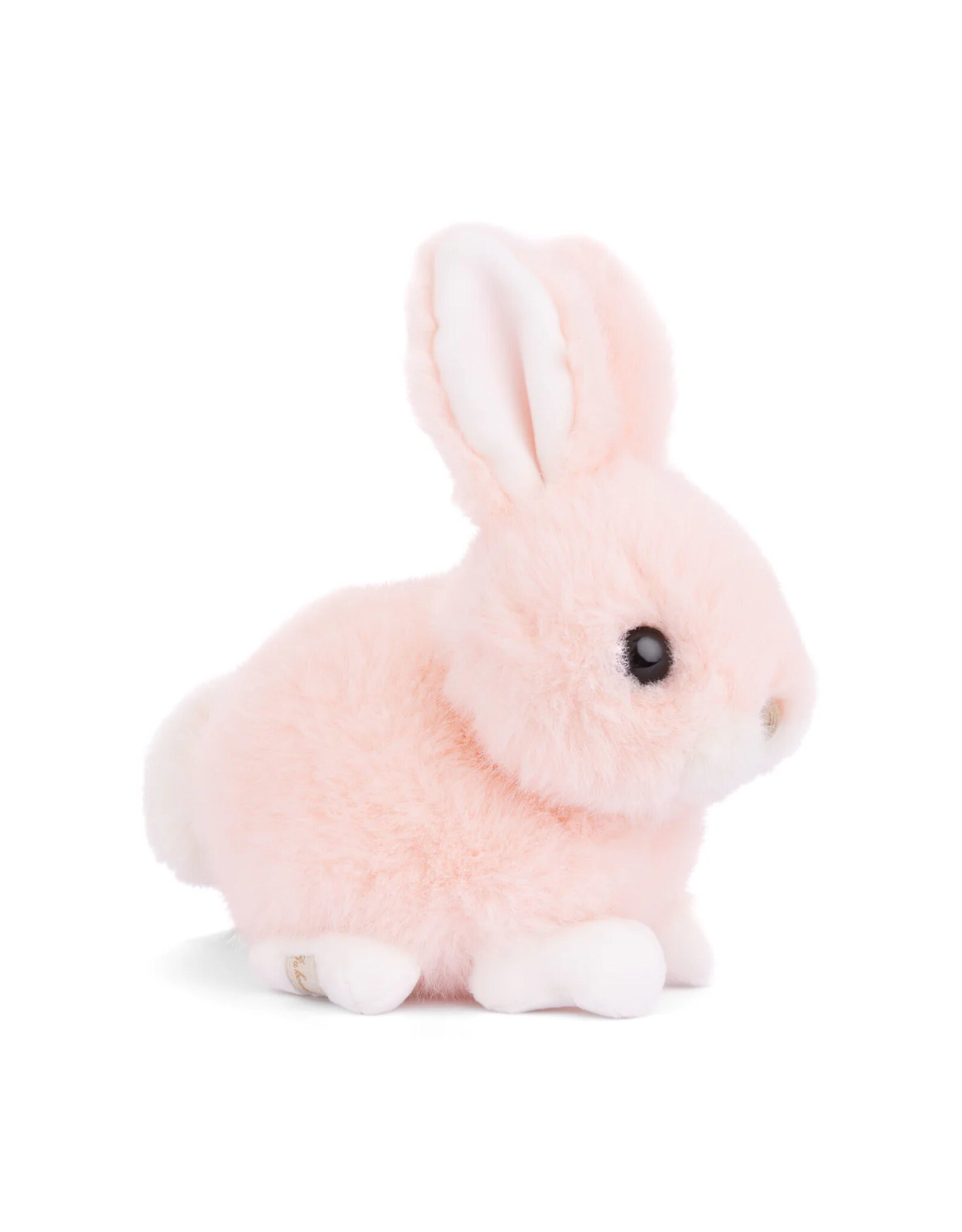 Bukowski Bears Peach Baby Bunny