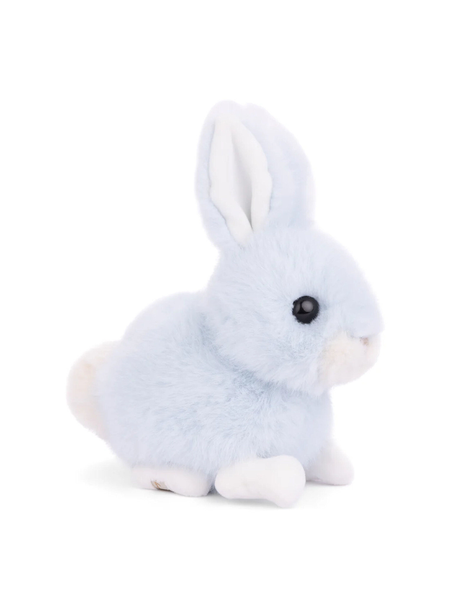 Bukowski Bears Heaven Blue Baby Bunny