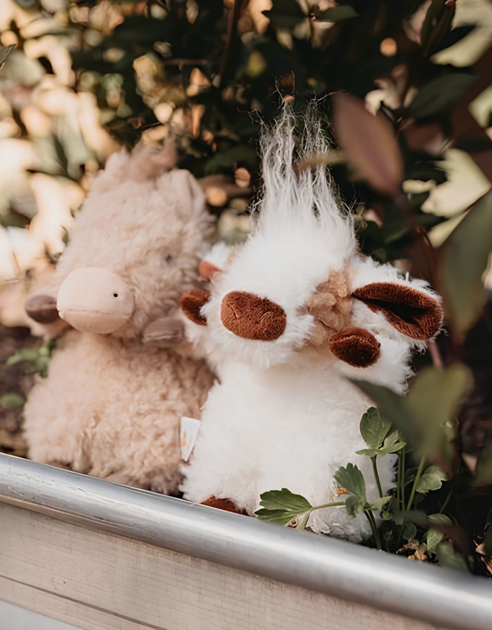 Bunnies by the Bay Wee Moo Moo the Cow