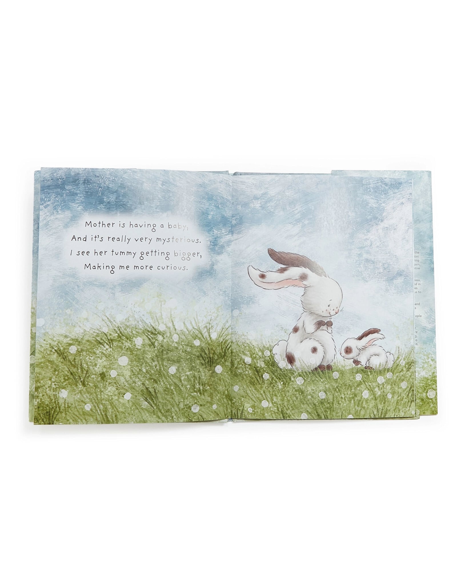 Bunnies by the Bay Who Will Our New Baby Be? Story Book