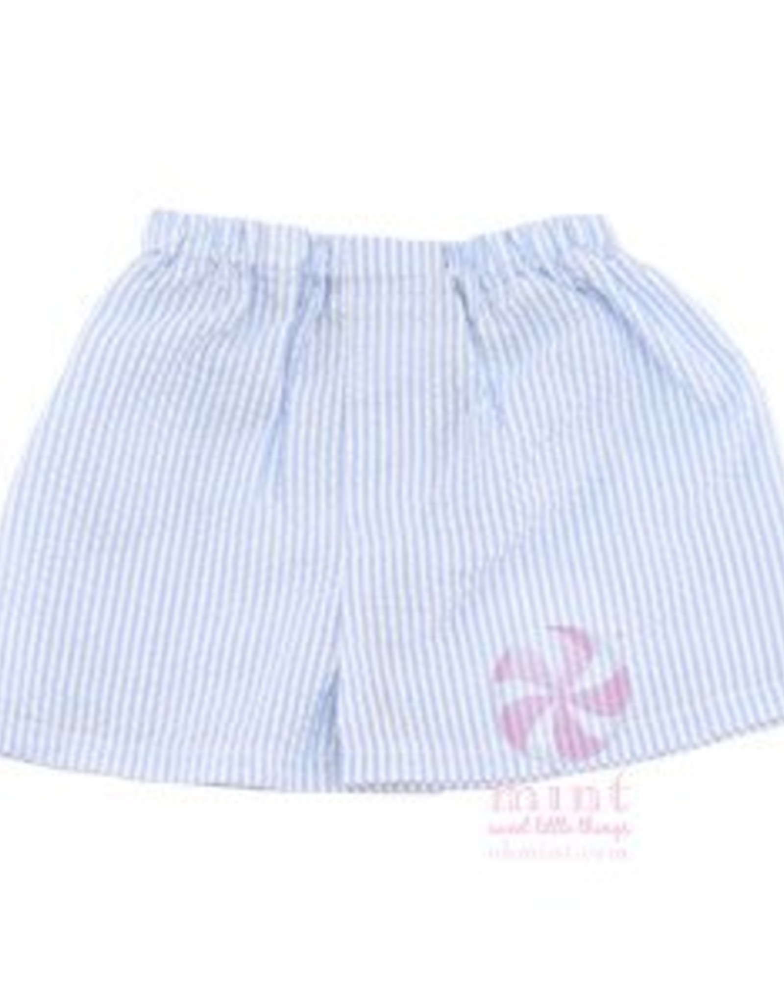 Mint Baby Blue Seersucker Boxers
