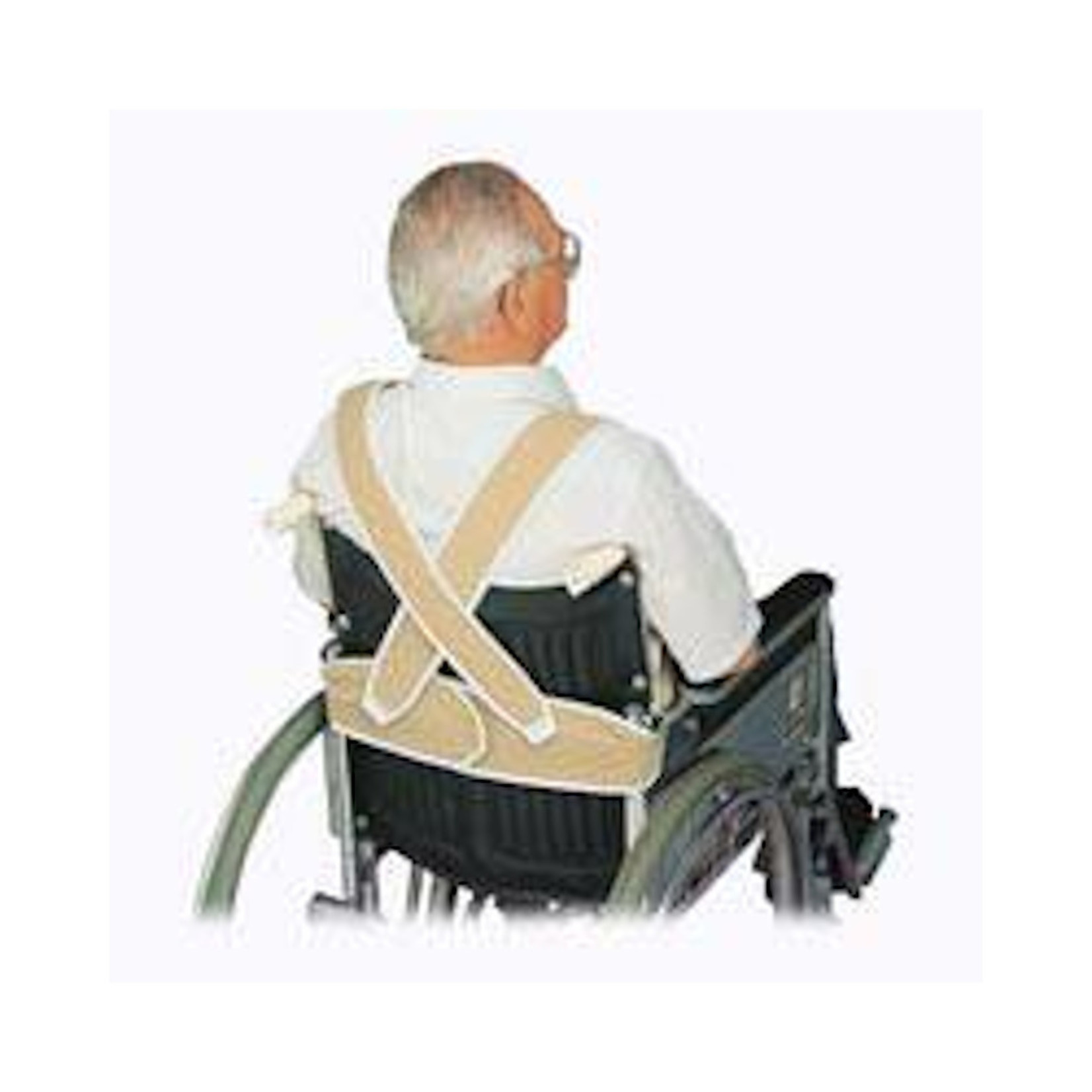 Torso Support - Large product image #1