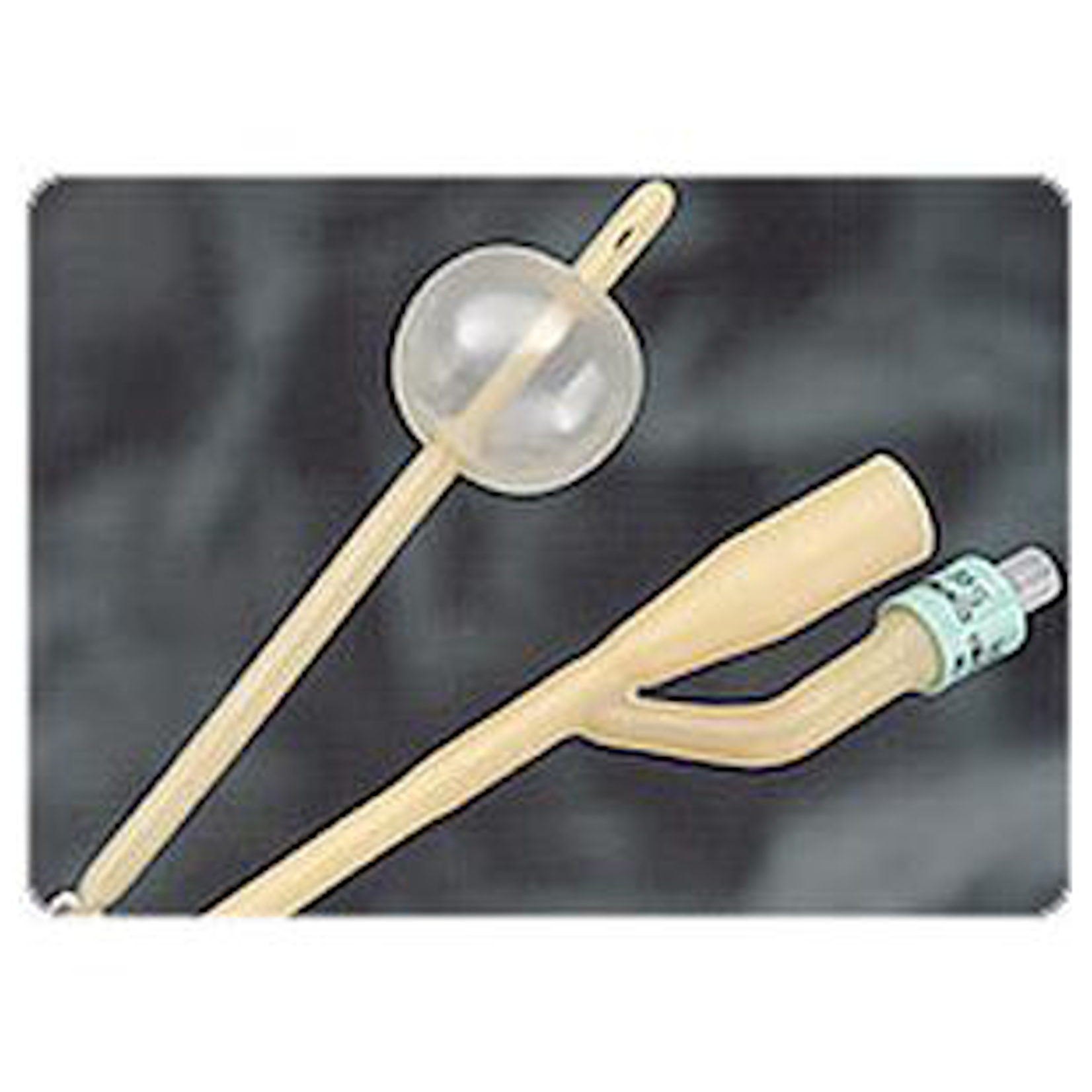 Foley Cath 14Fr5cc Sil Coated