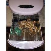 Image Preview #5