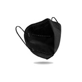 Image Preview #2