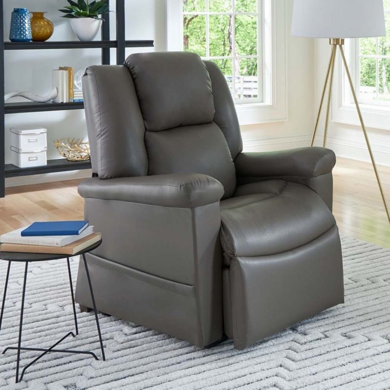 Day Dream Power Lift Recliner