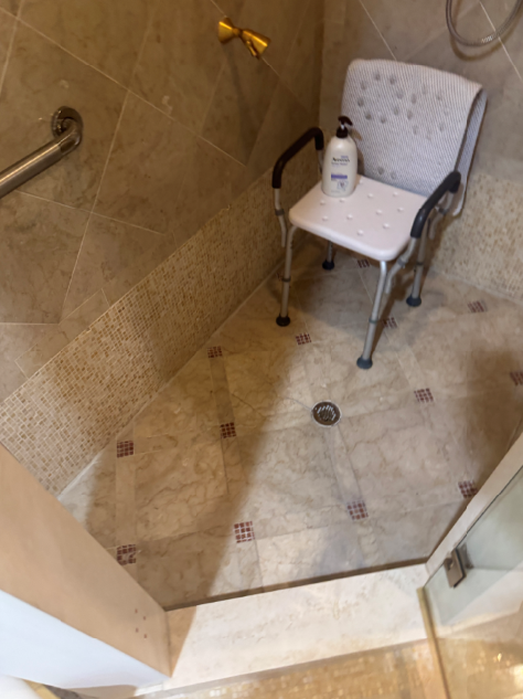Before Shower Step Down