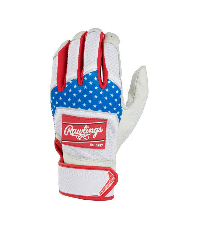 WH22BG Workhorse Pro Men's Batting Gloves Baseball Town