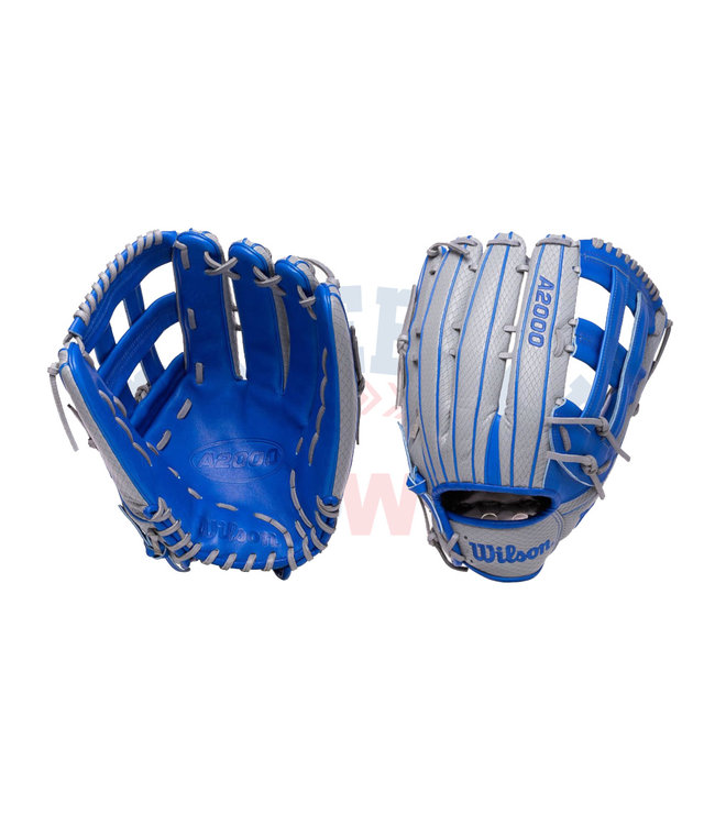 A2000 SP14 14" Slowpitch Glove