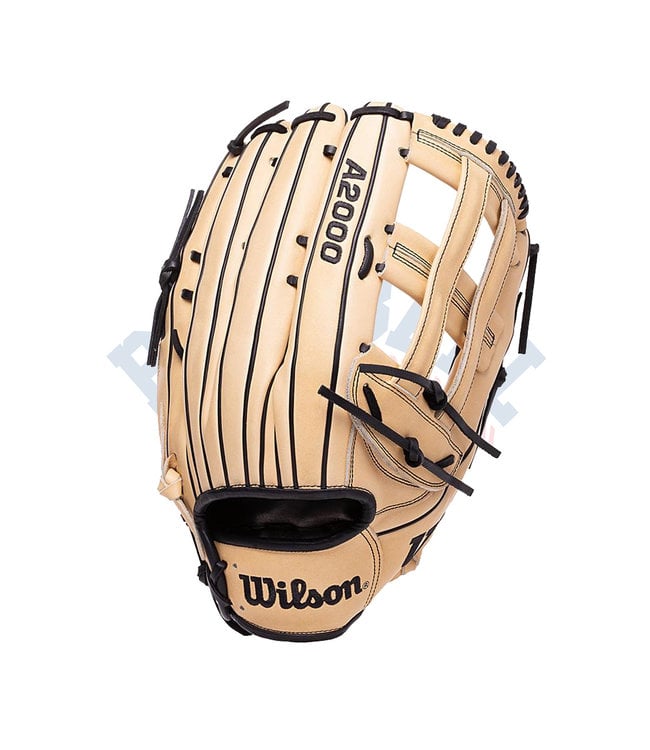 A2000 SP14 14" Slowpitch Glove