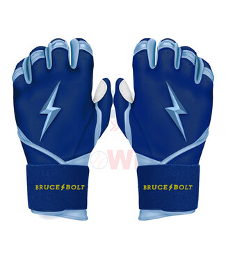 Bruce Bolt Premium Pro Long Cuff Phillips Series Batting Gloves