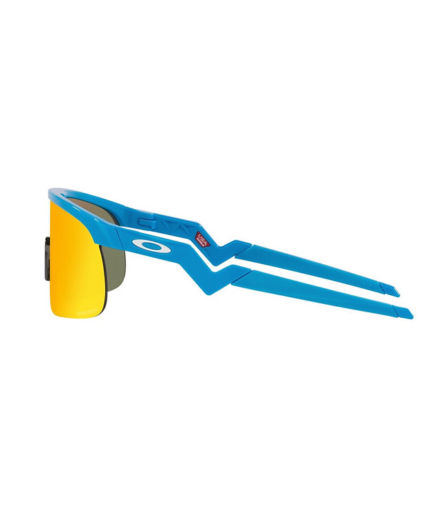 Lunettes de Soleil Resistor Bleu Ciel  avec Prizm Rubis Iridium